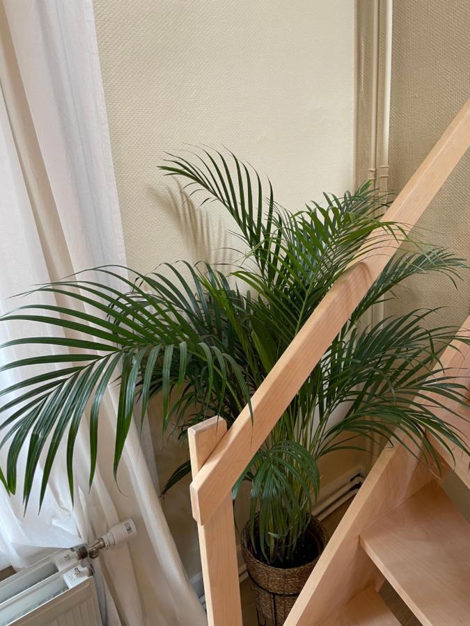 Le 25, Duplex Elegant Au Coeur Du Pietonnier Historique Lejlighed Namur Eksteriør billede